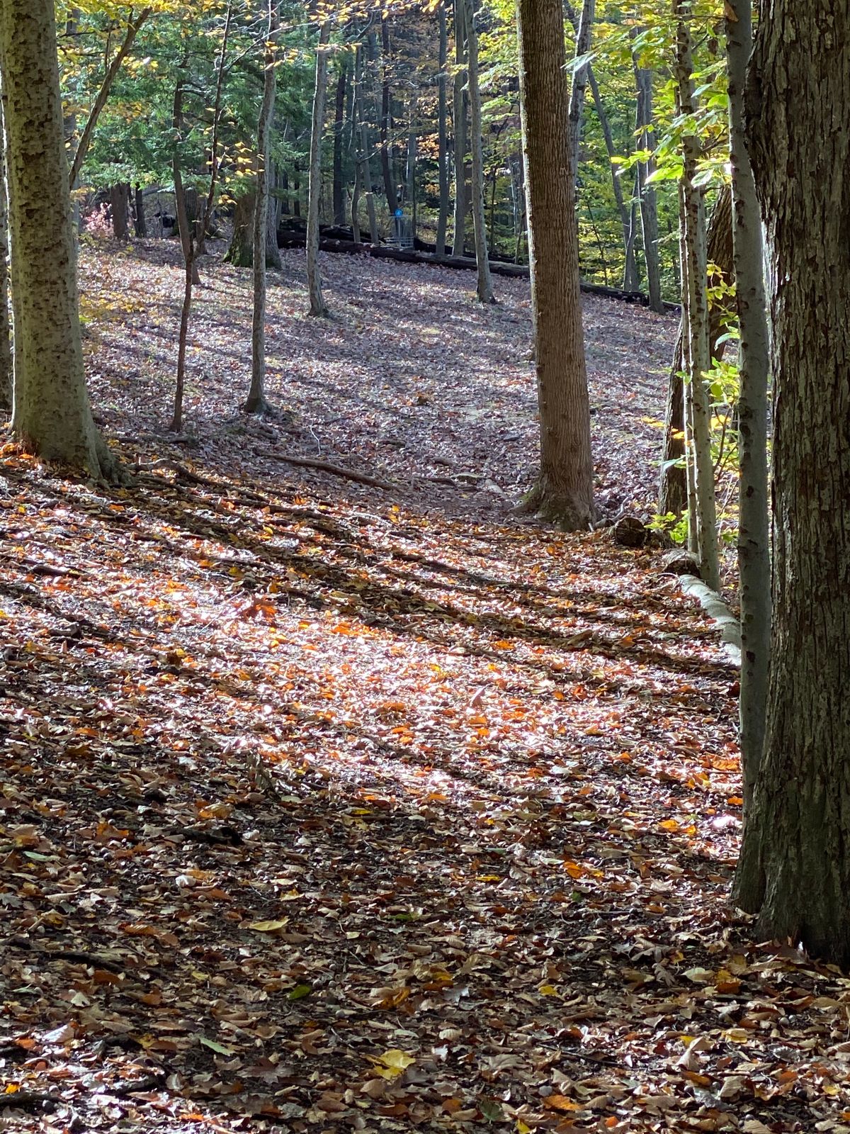 Hole 4 East