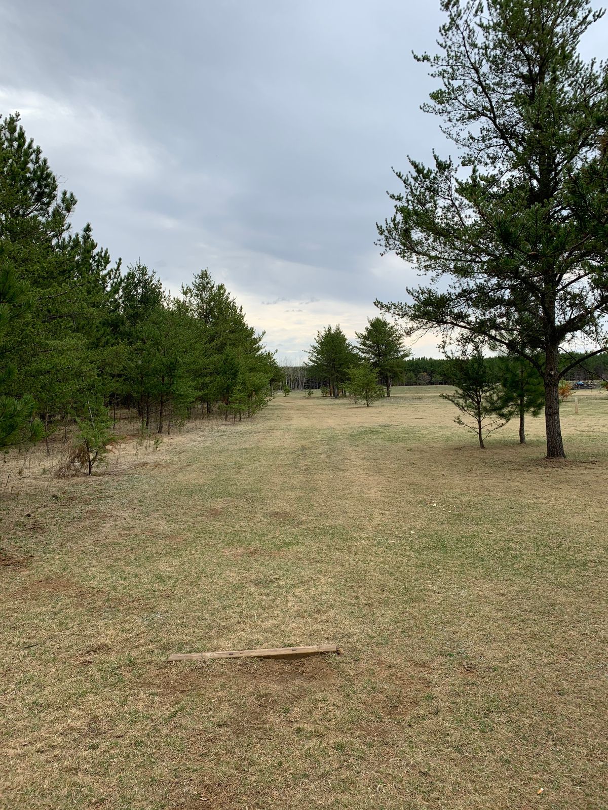 Hole 3 tee box (long)