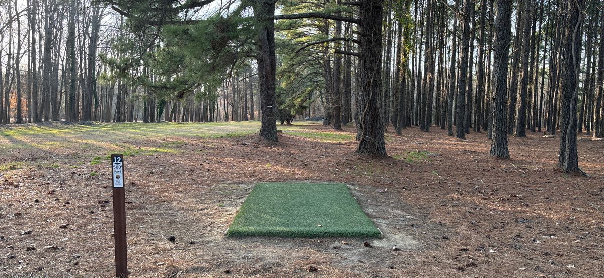 Hole 12
