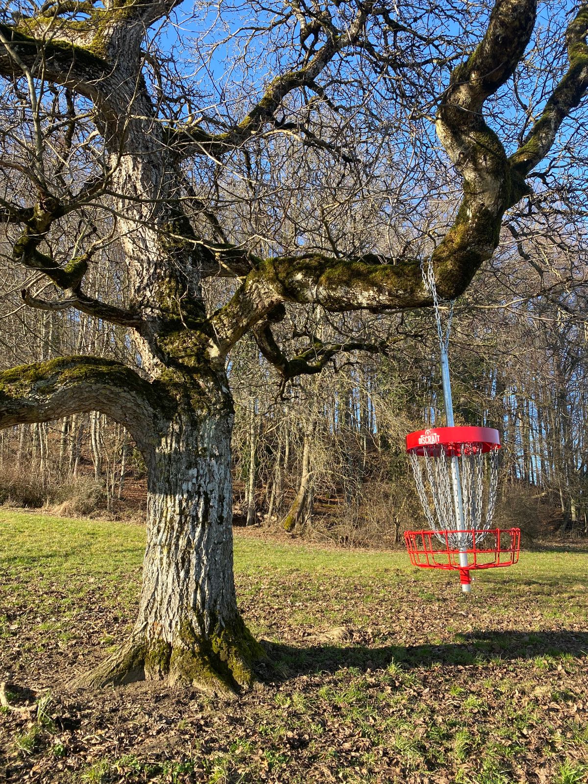 Nr.1 hanging basket