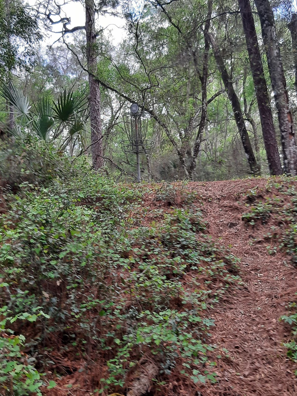 Hole 10 is a walking trail