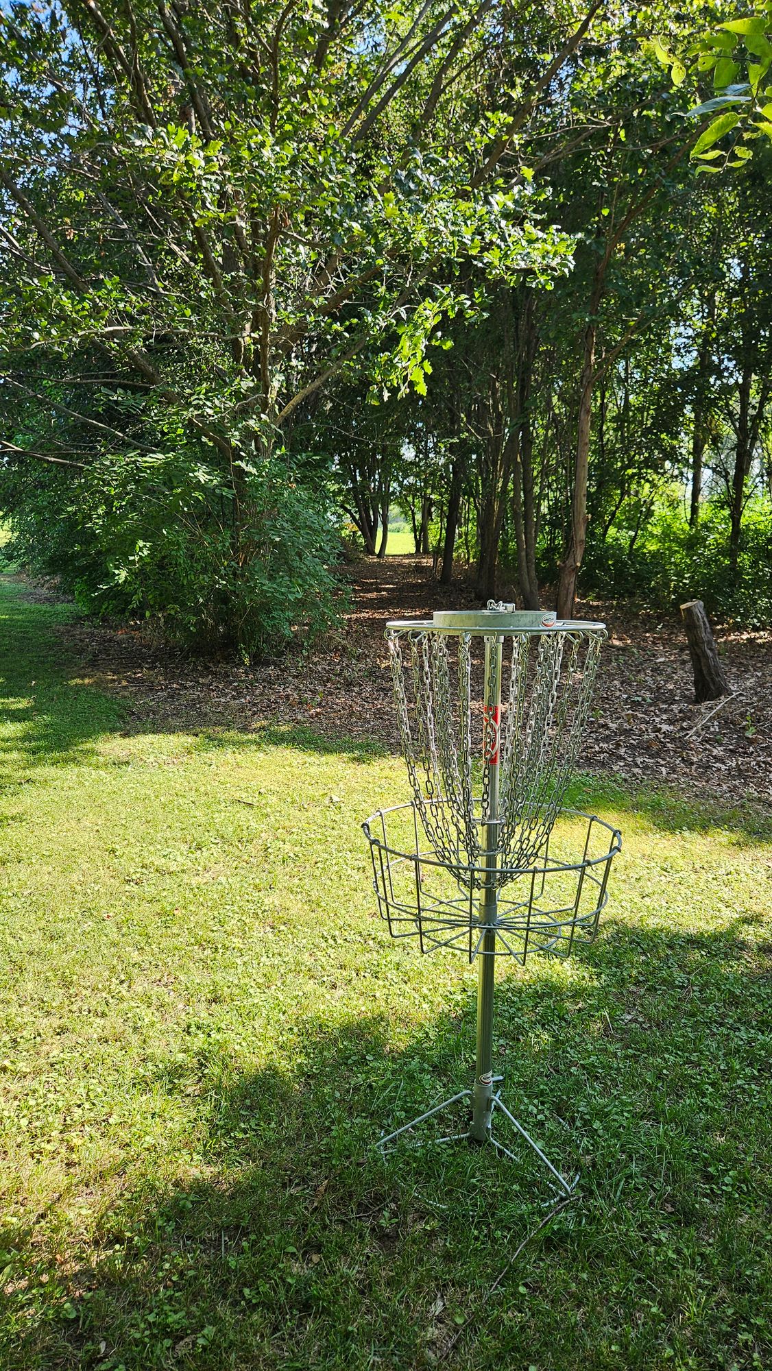 Hole 4 Basket