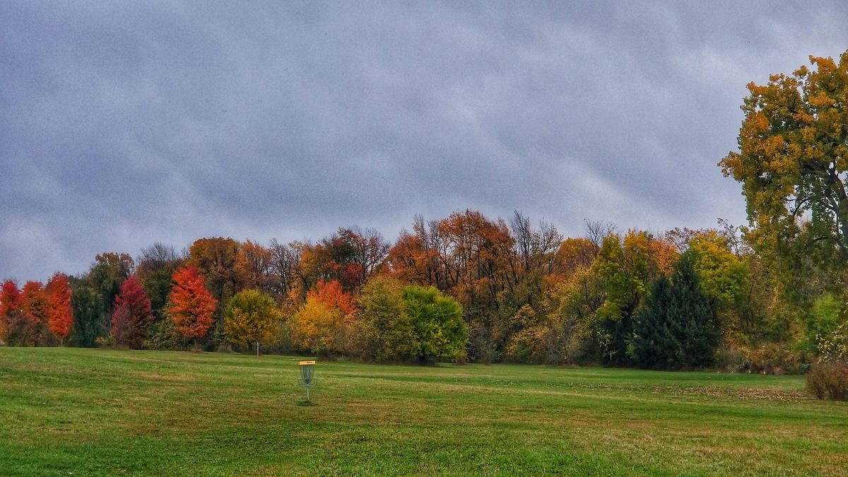 Peak fall colors behind hold 9's basket.