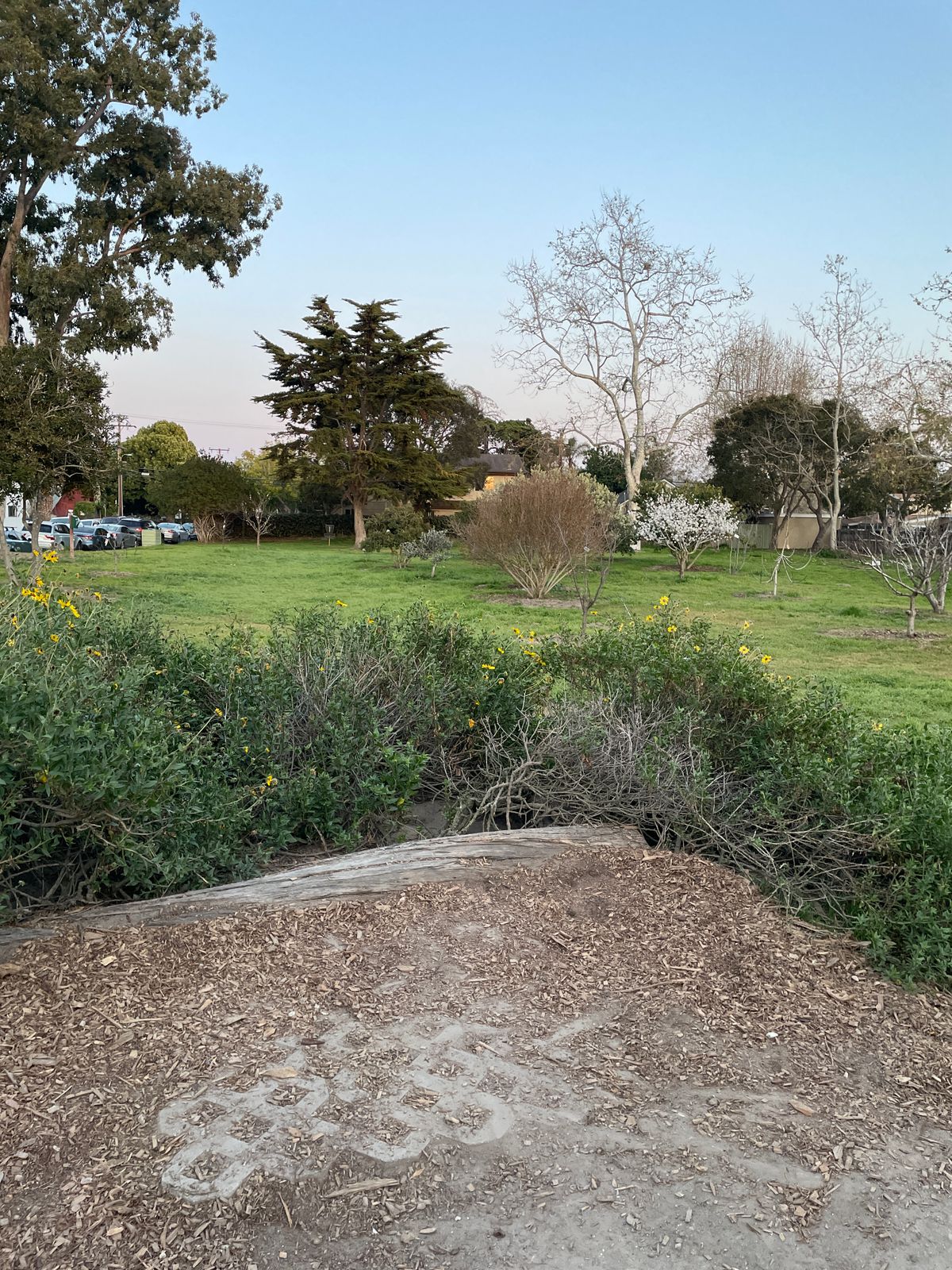 Hole 7