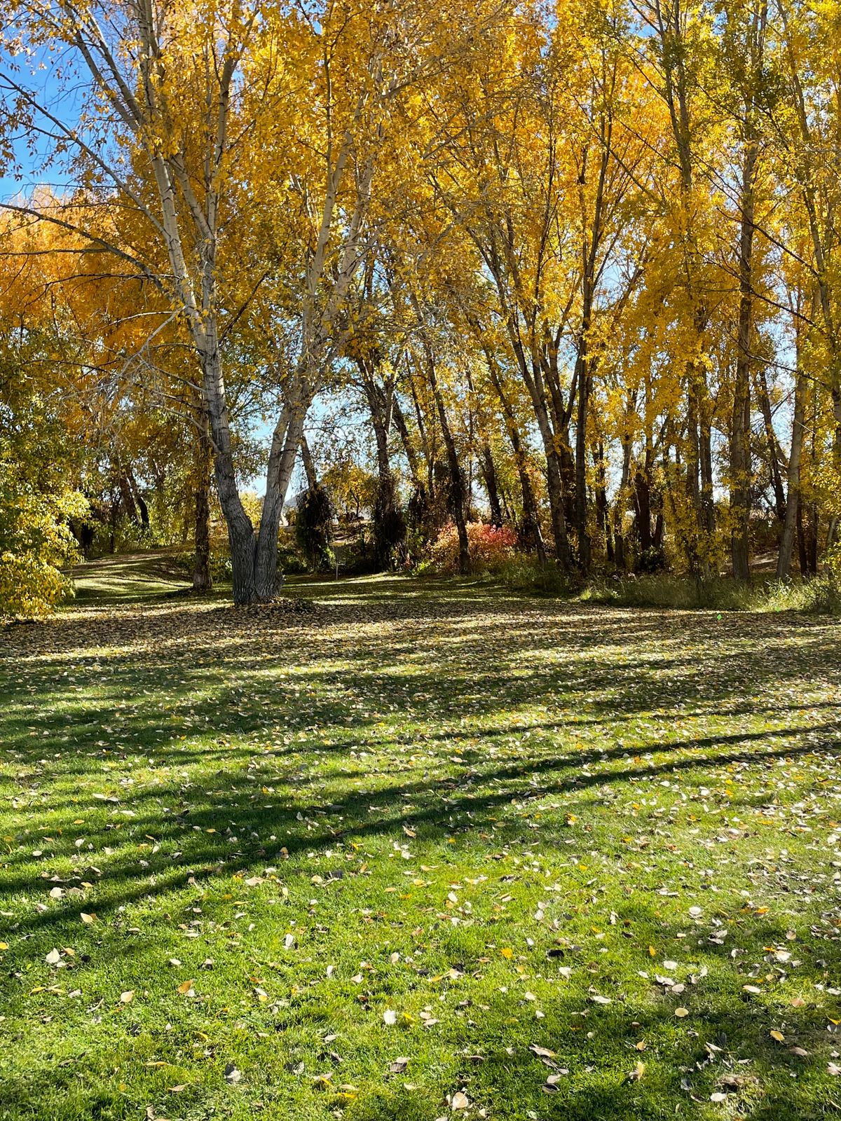 Landing Zone of 9