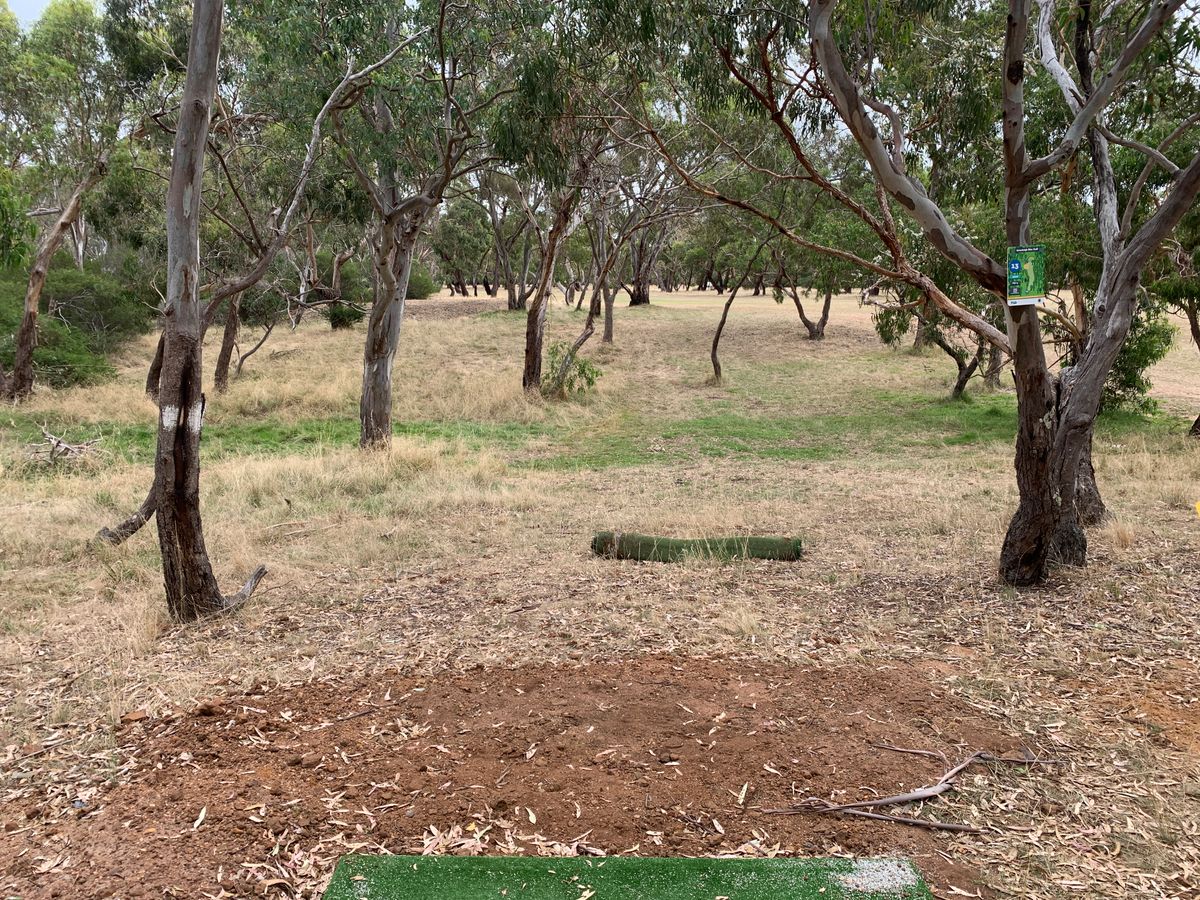 Hole 13