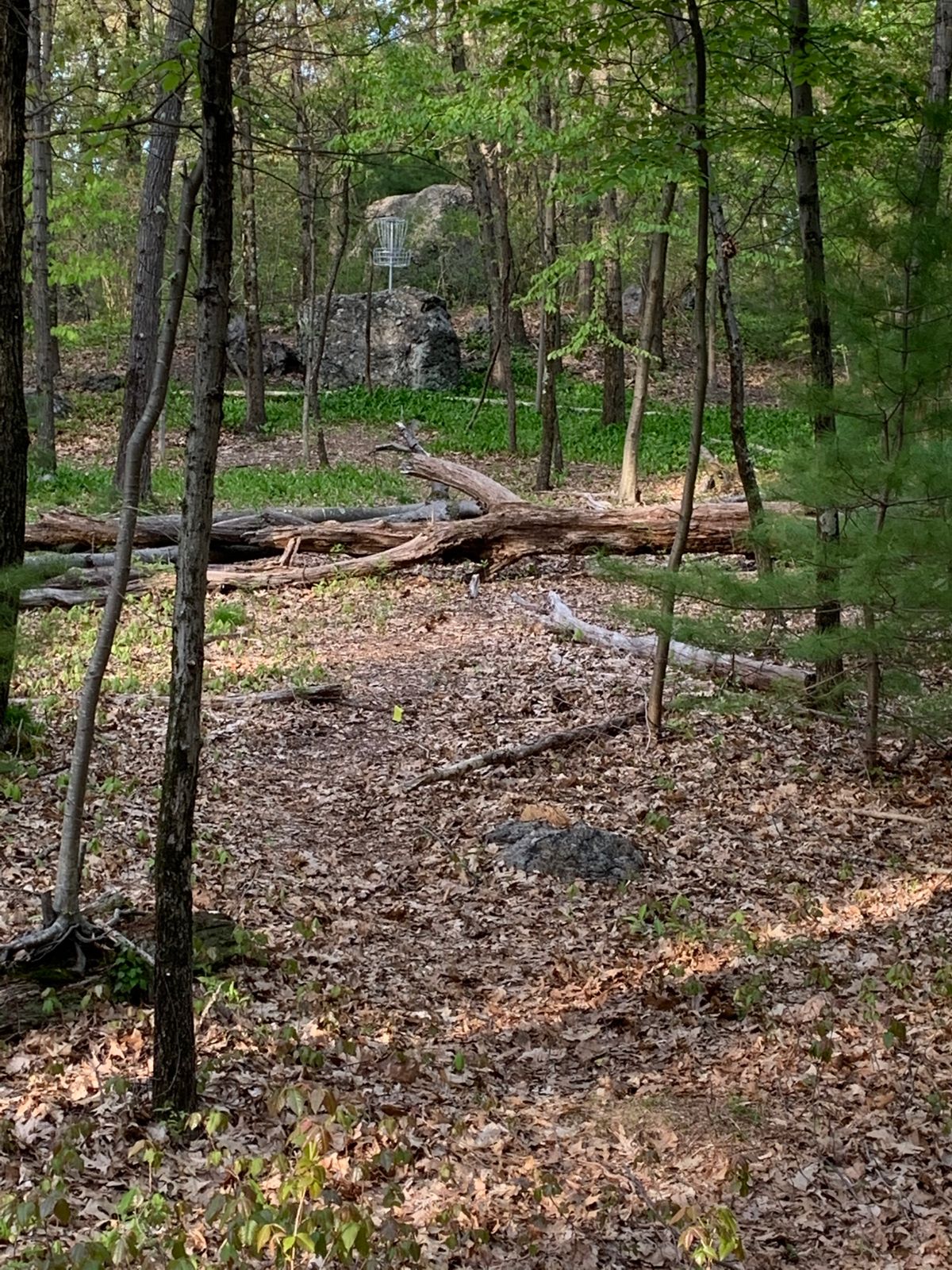 Hole 13 - 2020 18 Hole layout.
