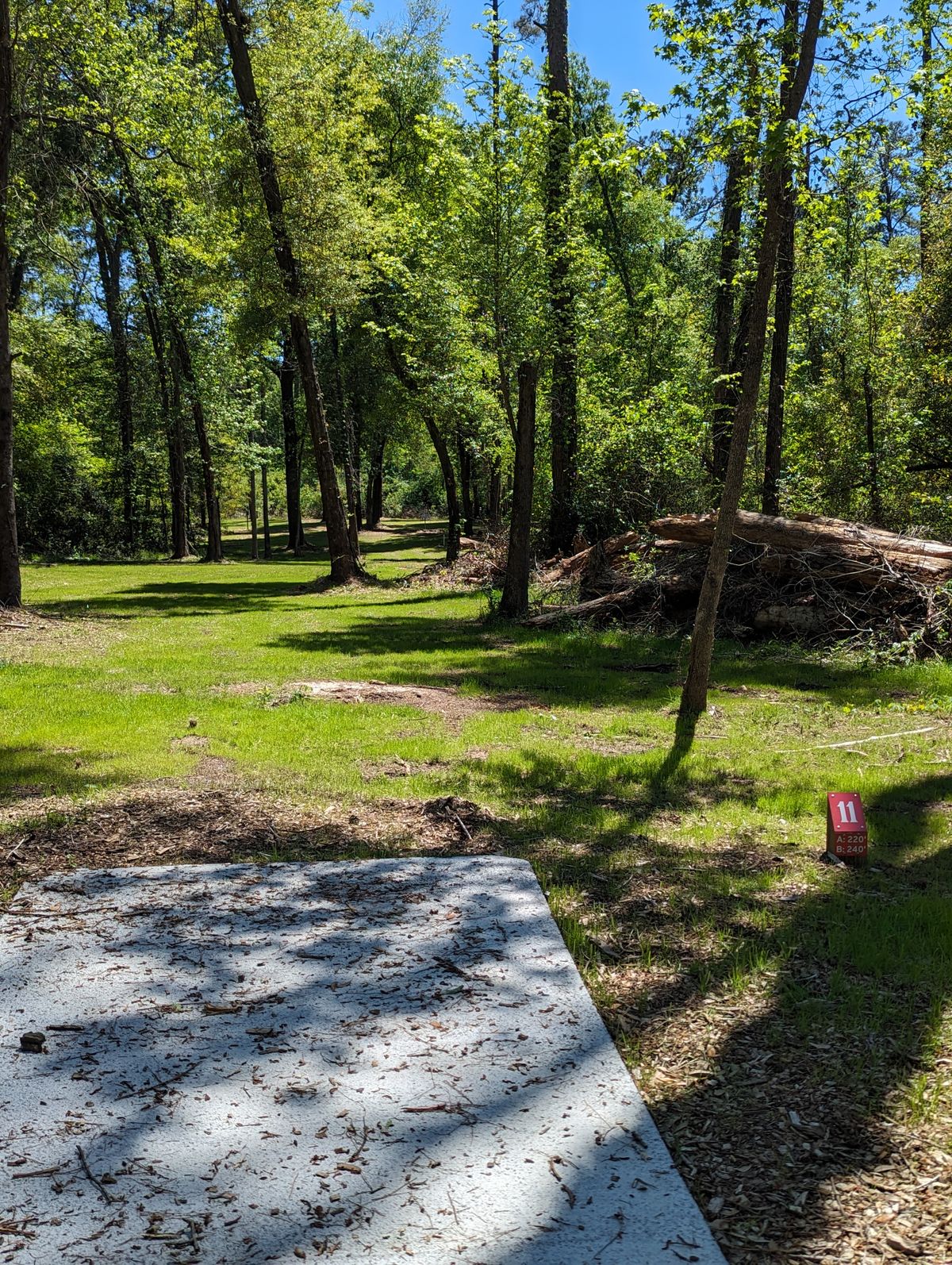Hole 11 Red Pad