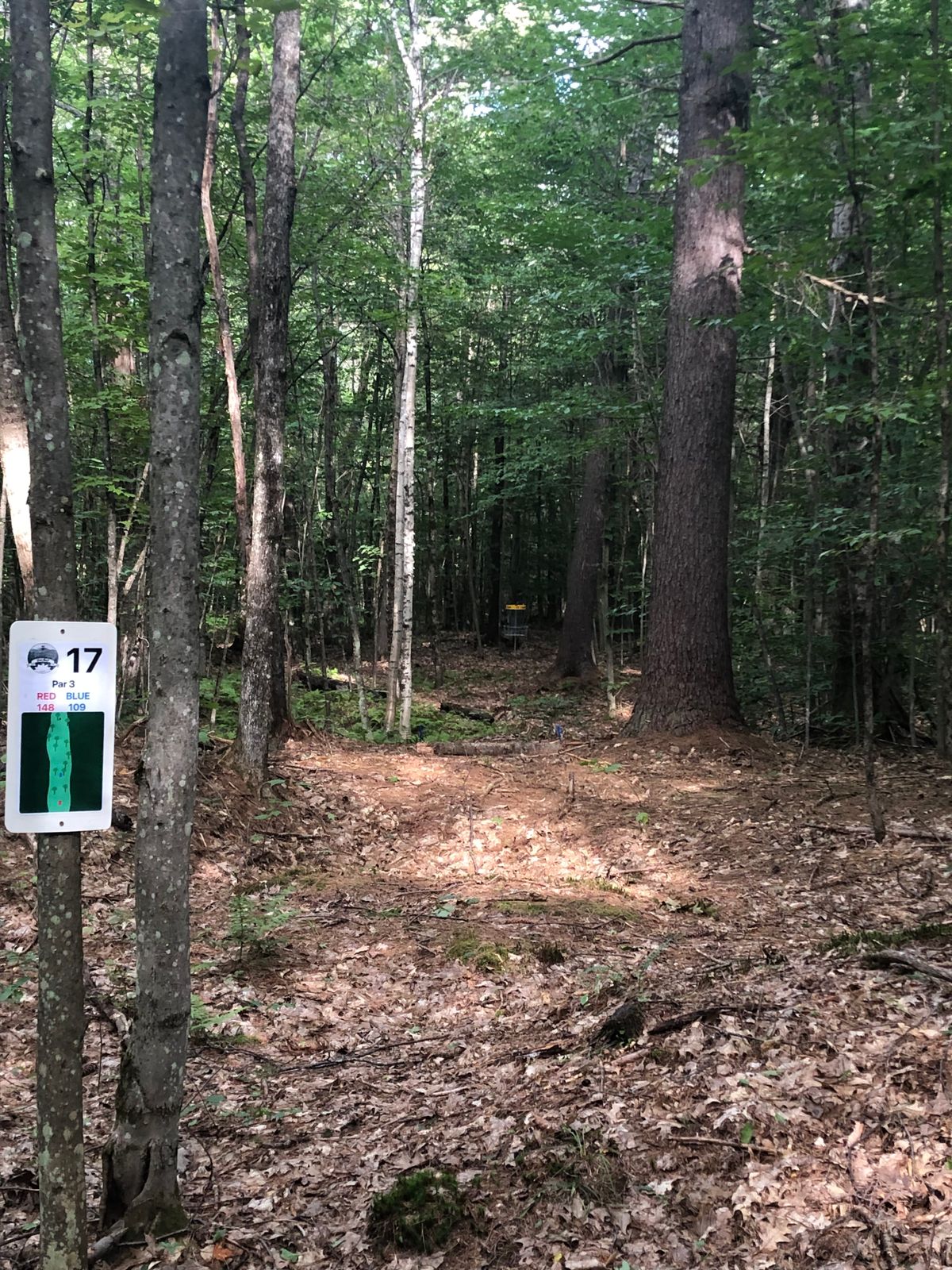 17 Tee