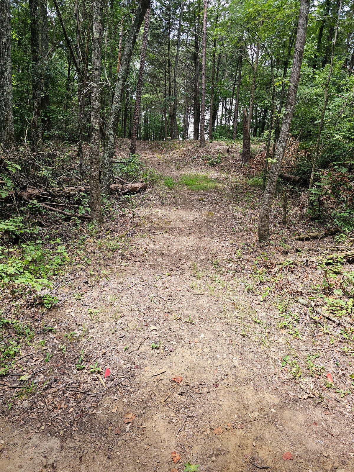 Hole 3