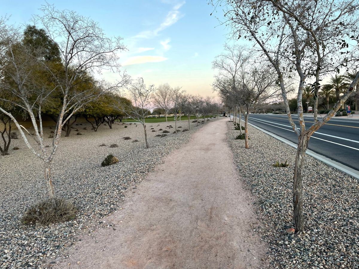 Hole 16: Starts at first trees of tree tunnel. All rocks up to sidewalk are inbounds. Share basket 1