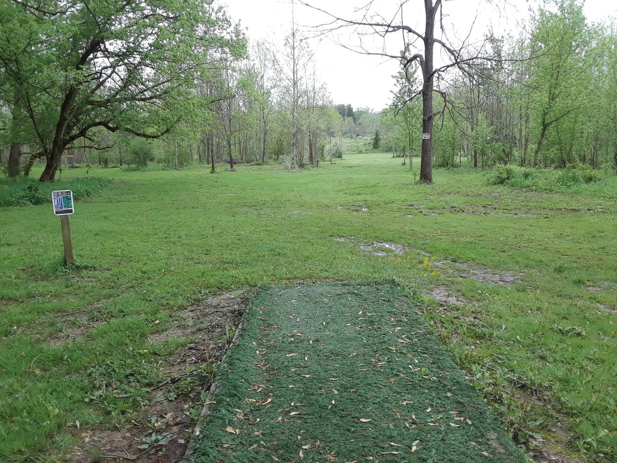 hole 17