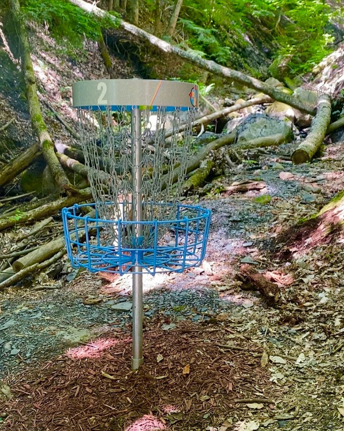 Hole 2 basket with new top band graphic