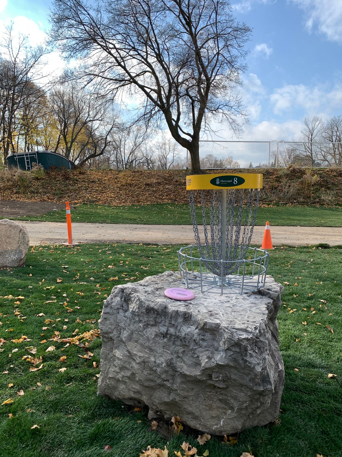 Hole 8 basket looking up at the tee.