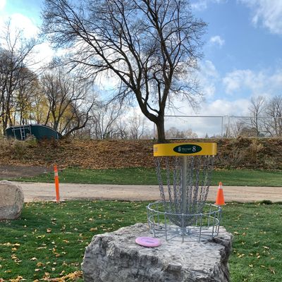 Hole 8 basket looking up at the tee.