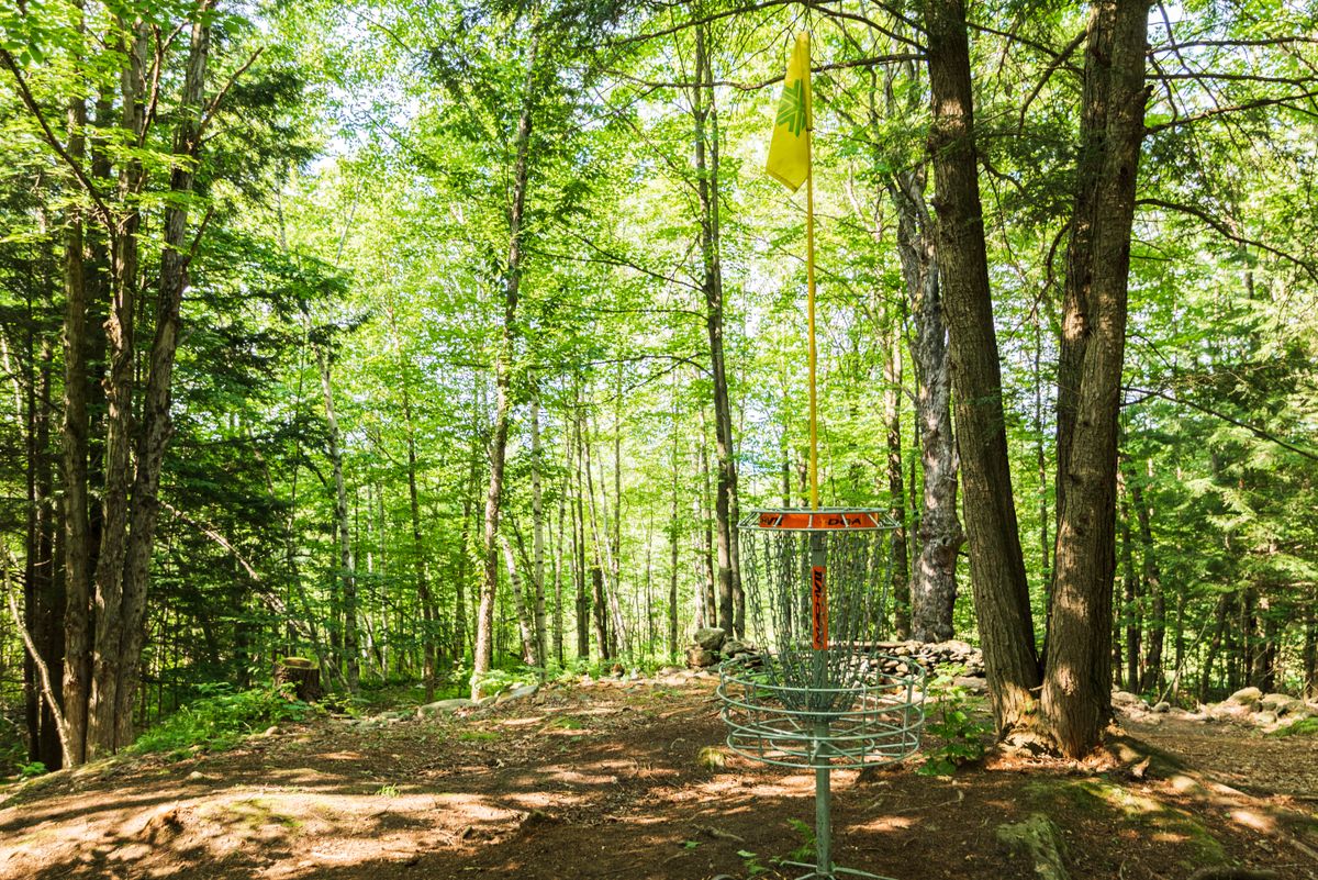 Hole 13 basket look back