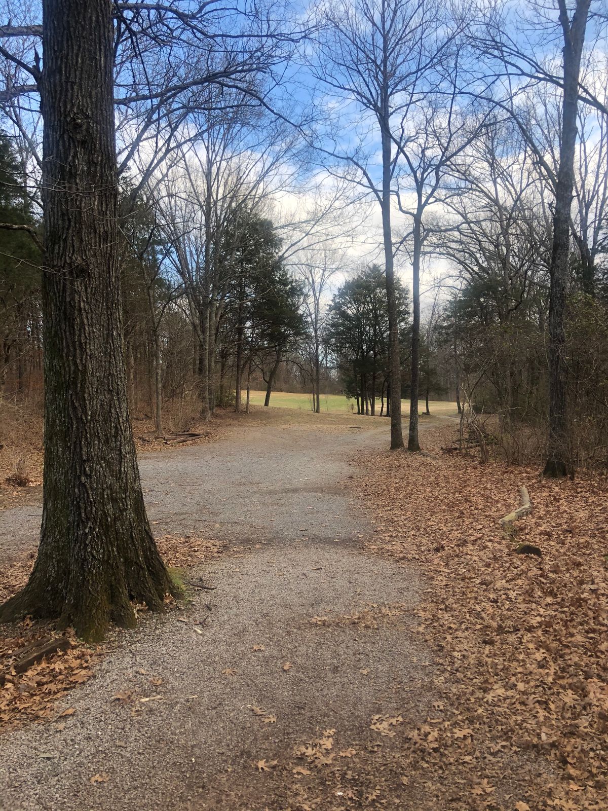 Hole 9