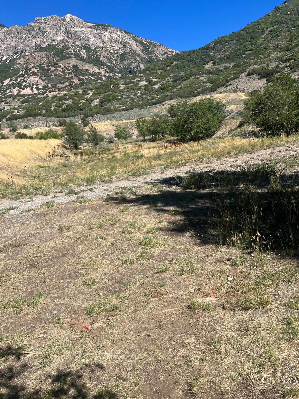 Hole 5 tee pad