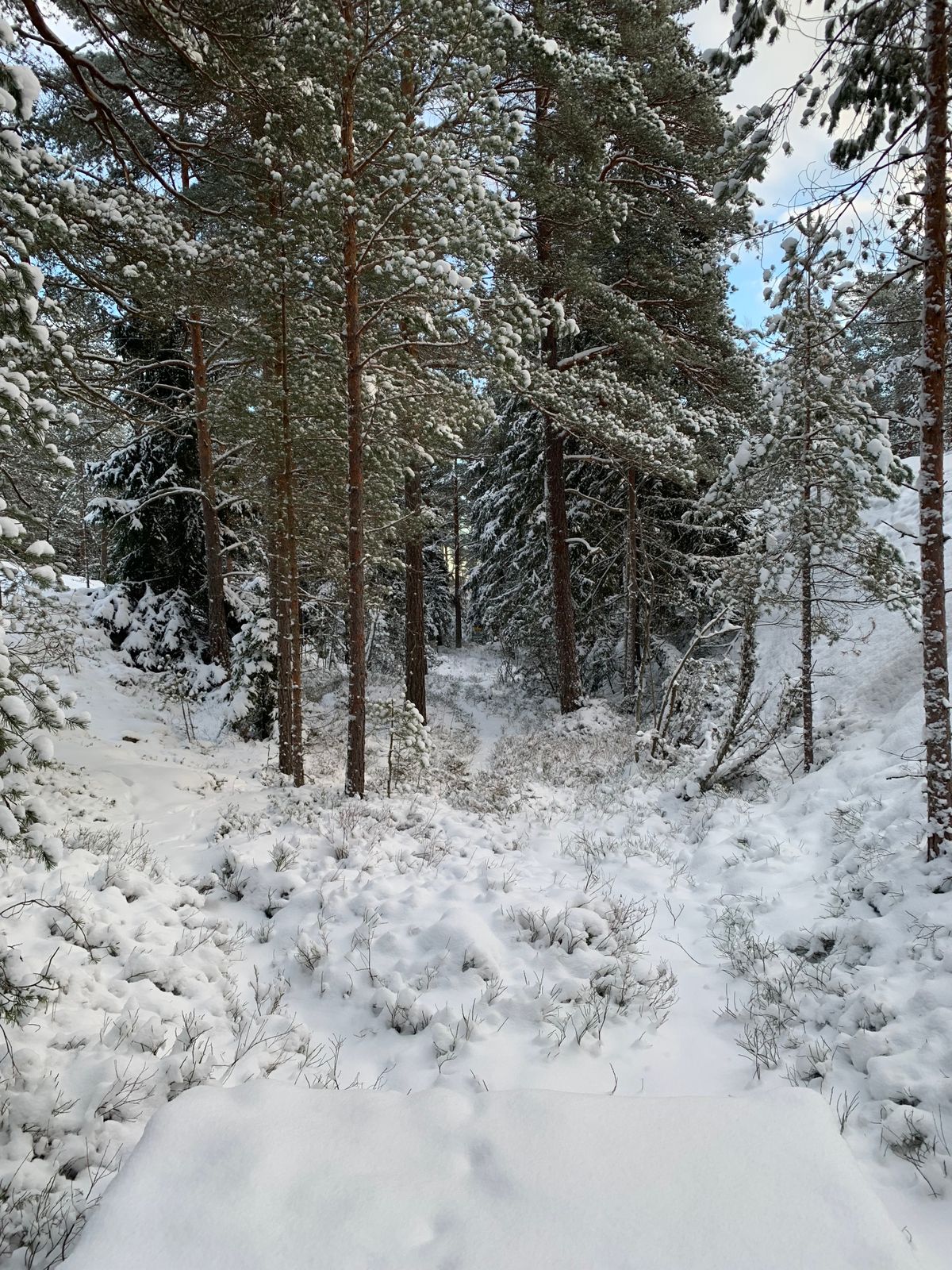Väylä 4
