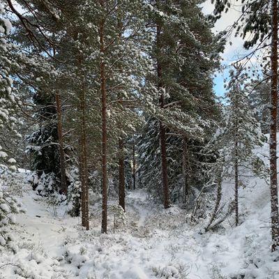 Väylä 4