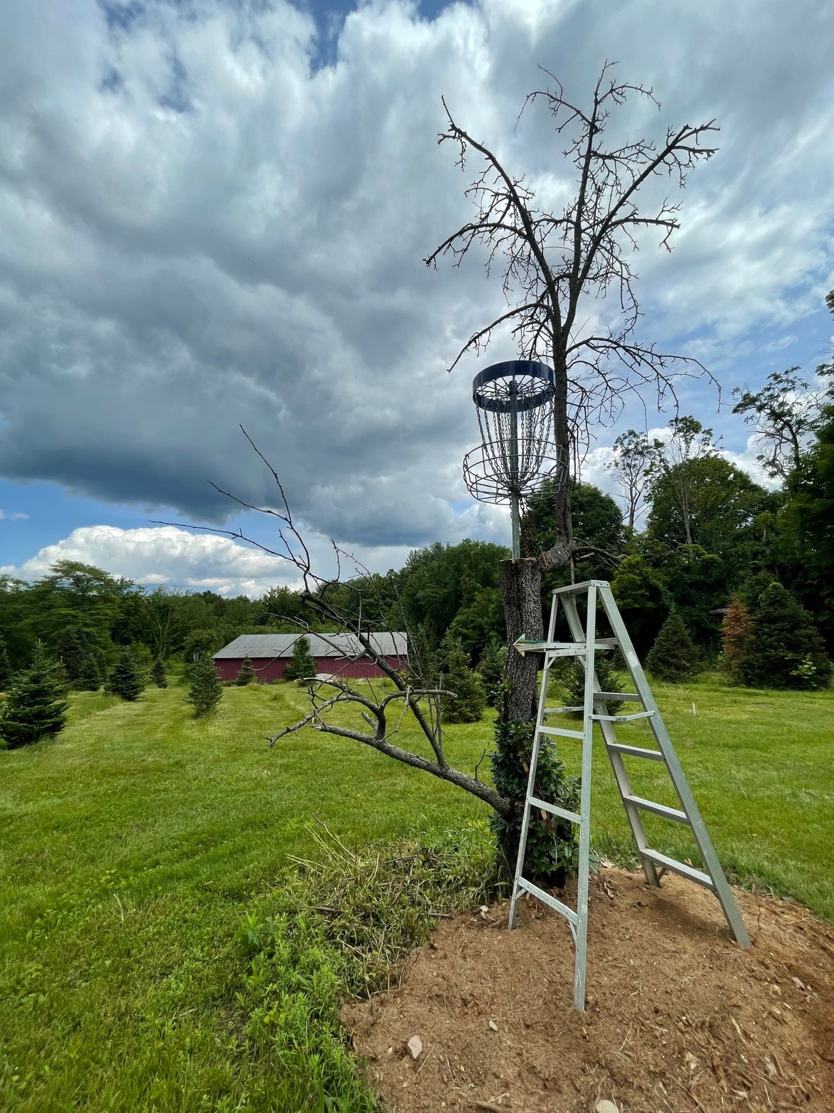 Hole 16 Basket