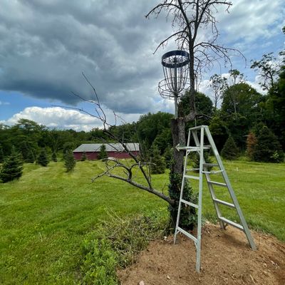 Hole 16 Basket
