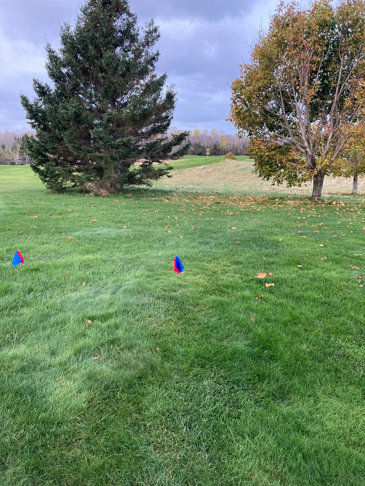 Hole 3 Blue & Red tee