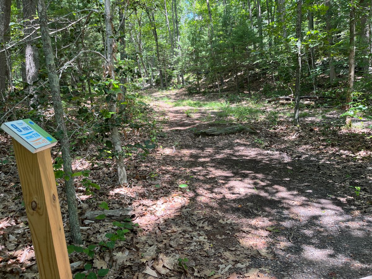 Hole 9
