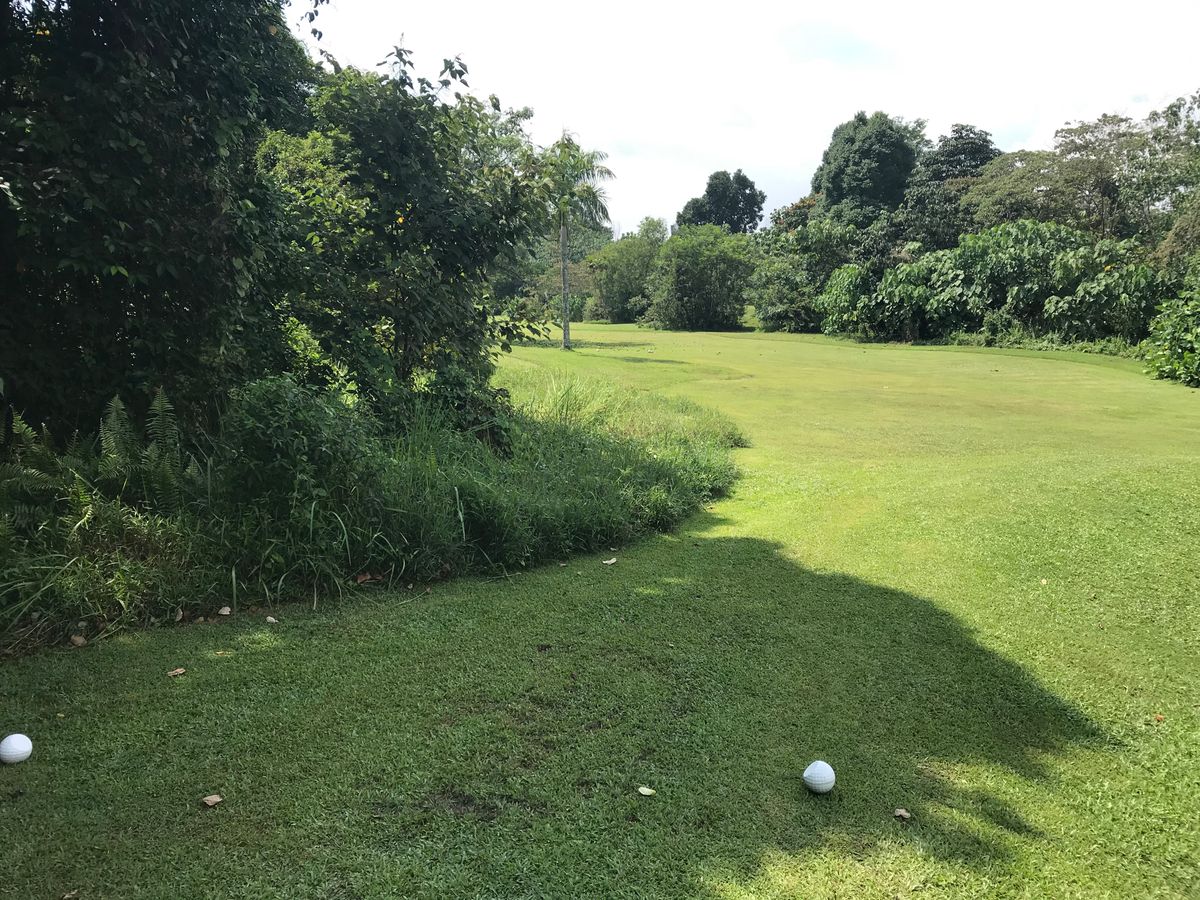 Hole 7 tee.
