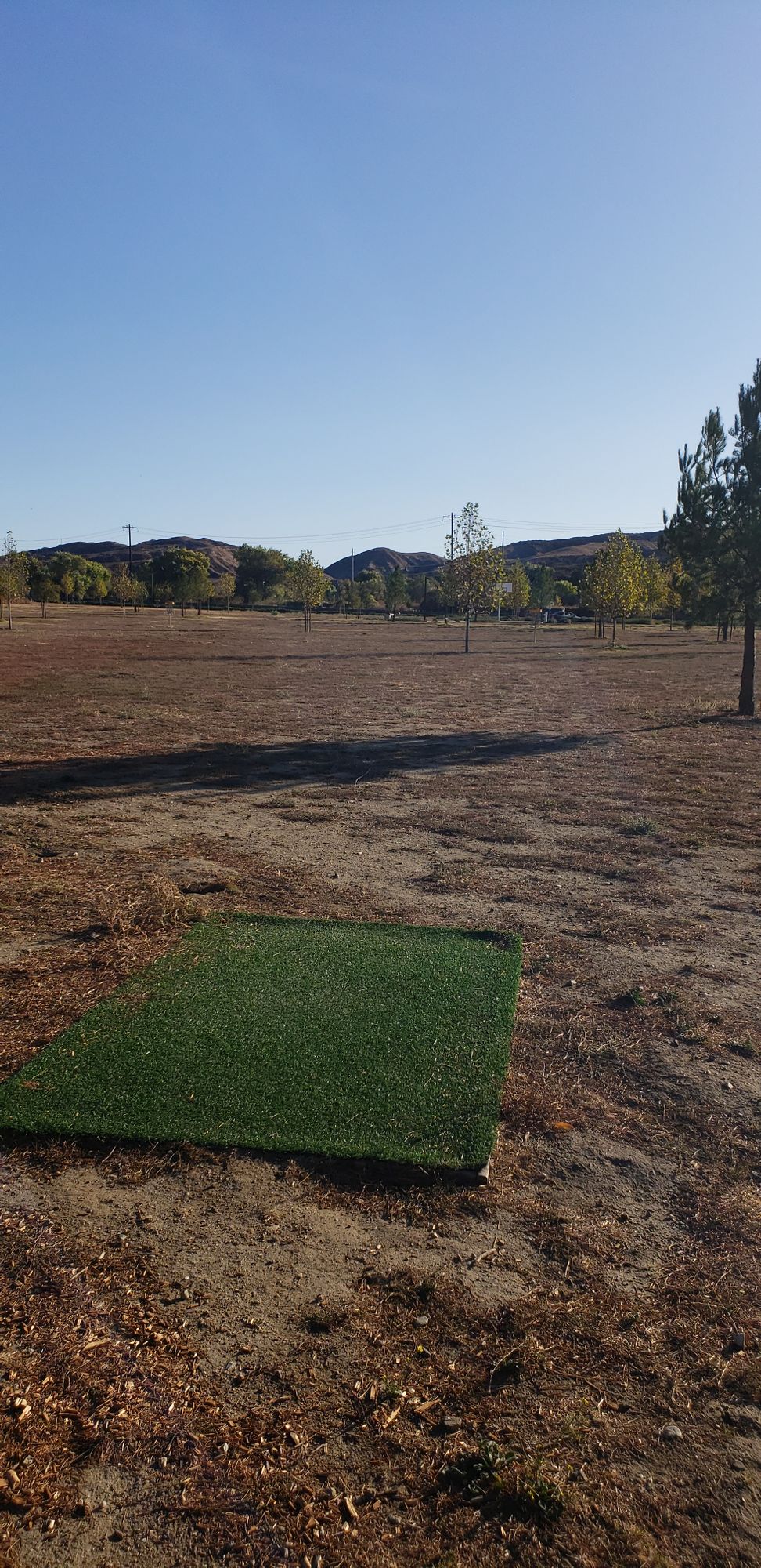 Hole 8