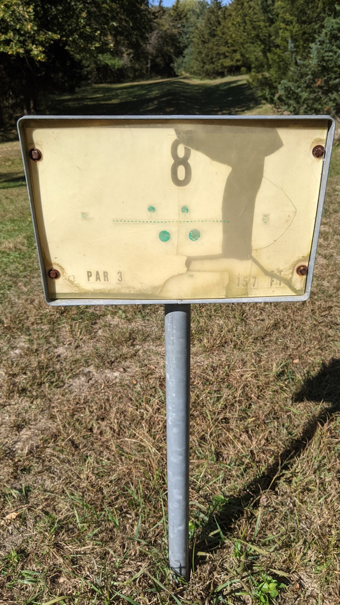 #8 Tee board