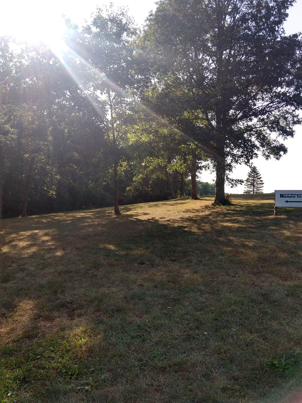 Hole 4