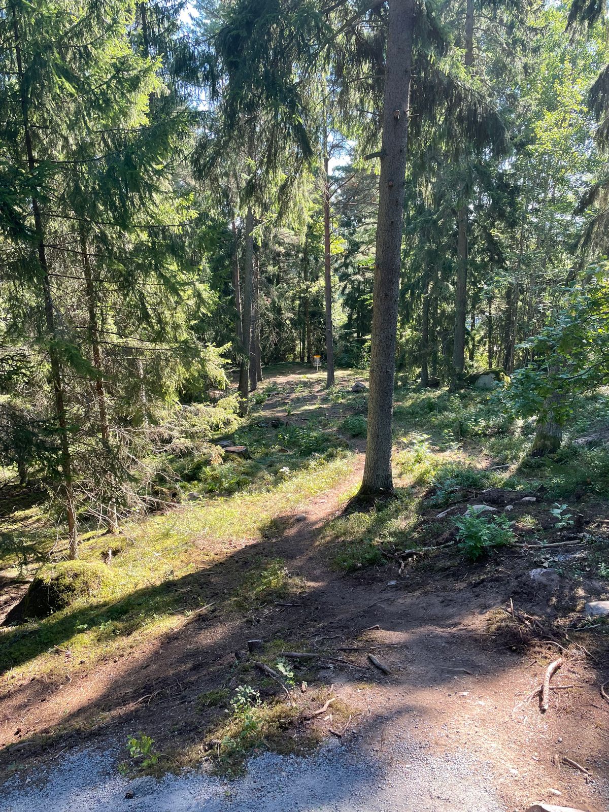 Hål 6 tee