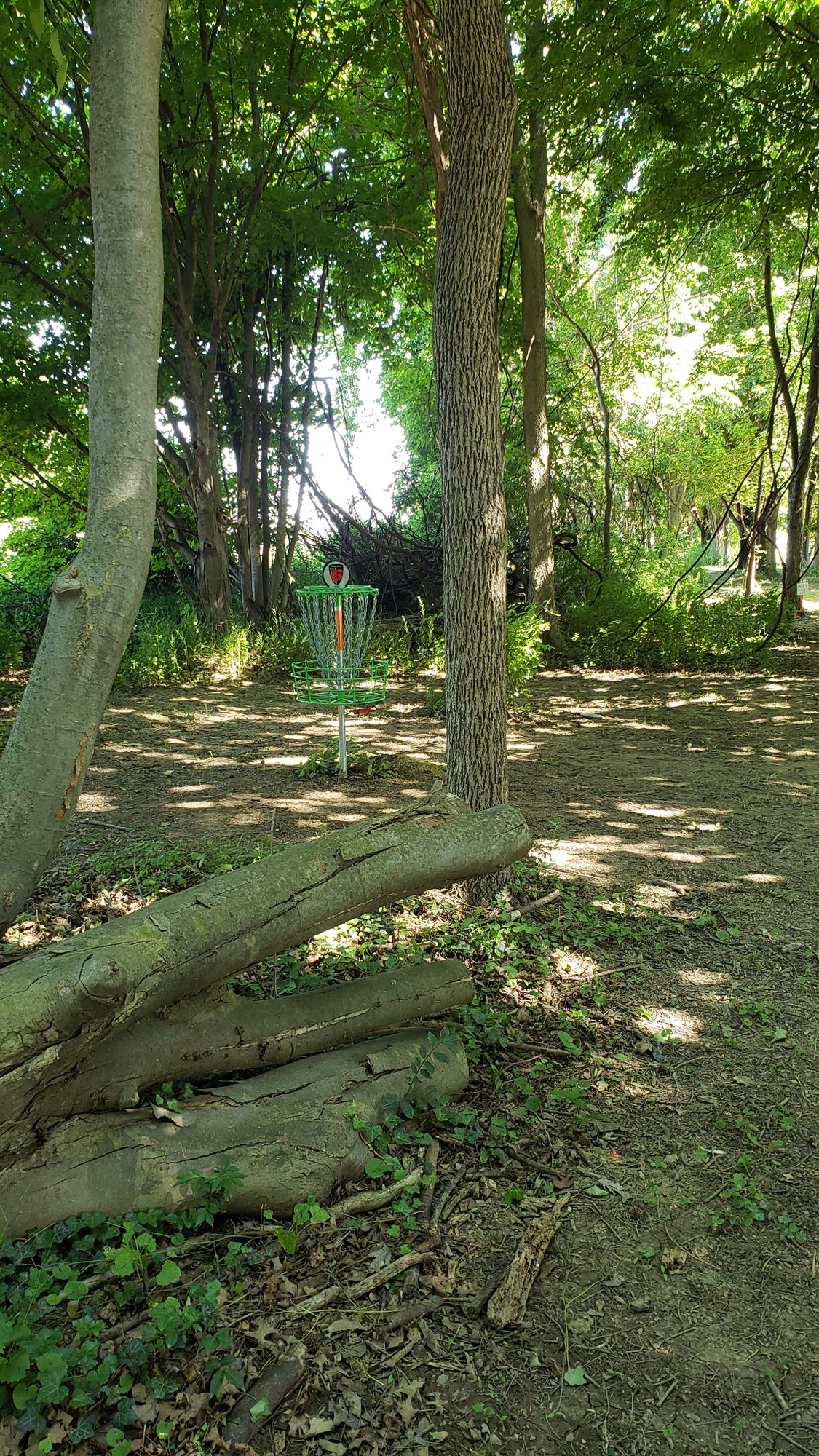 Hole 6