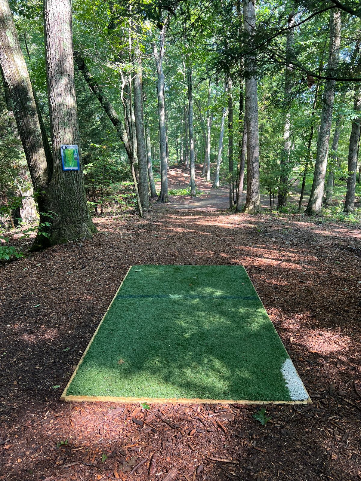 Hole 6 Tee