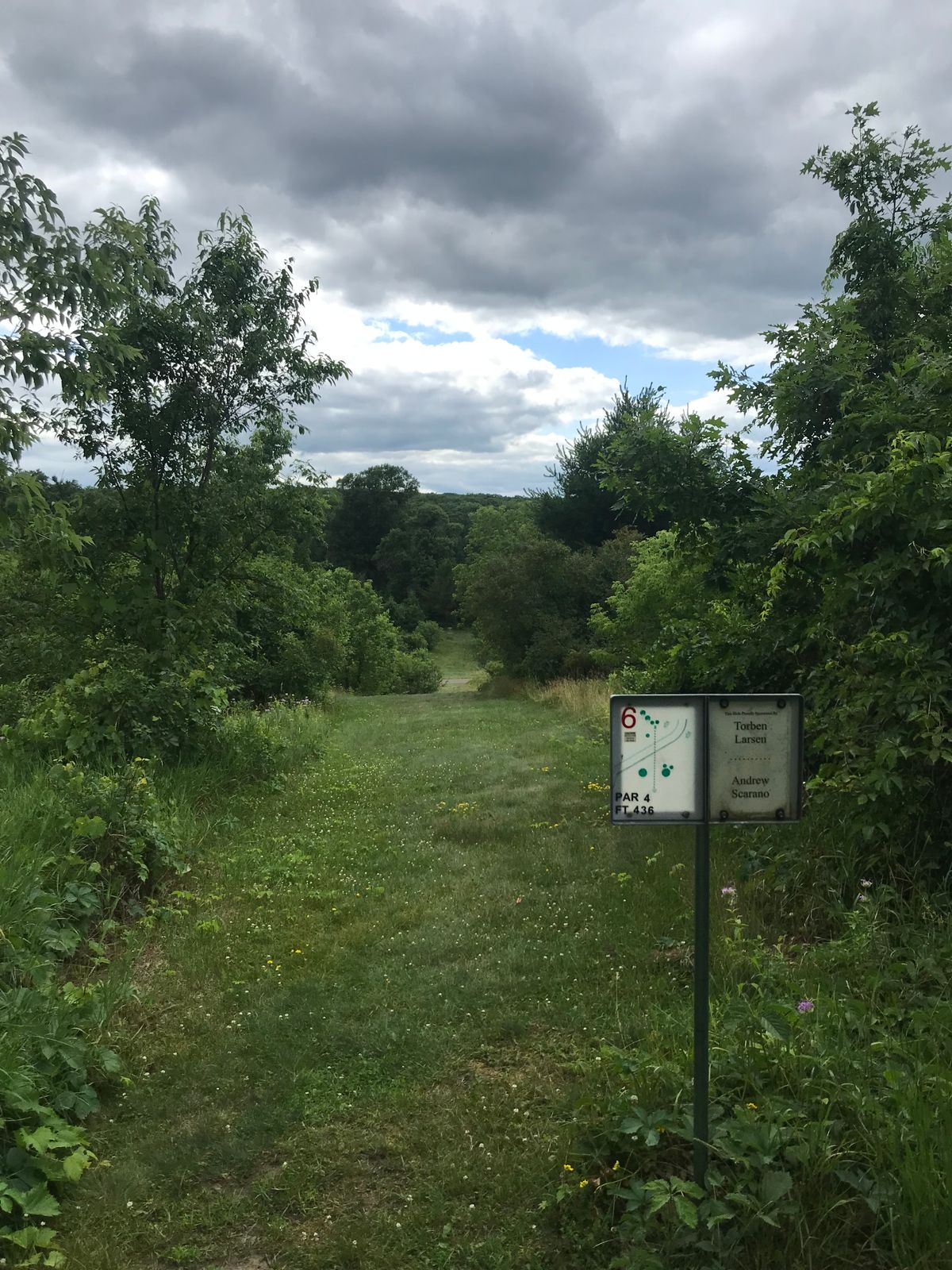 Hole 6 tee