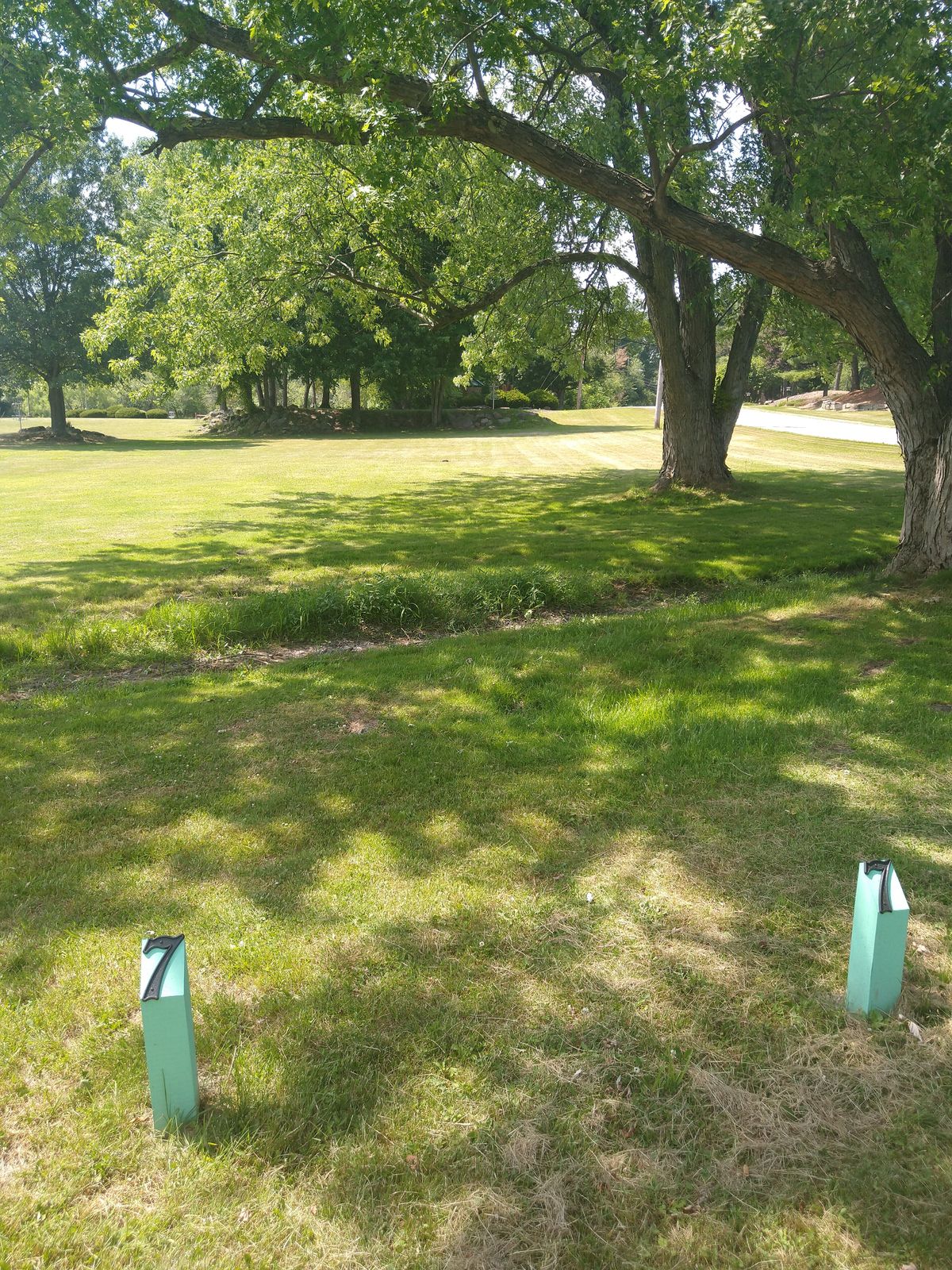 Tee 7