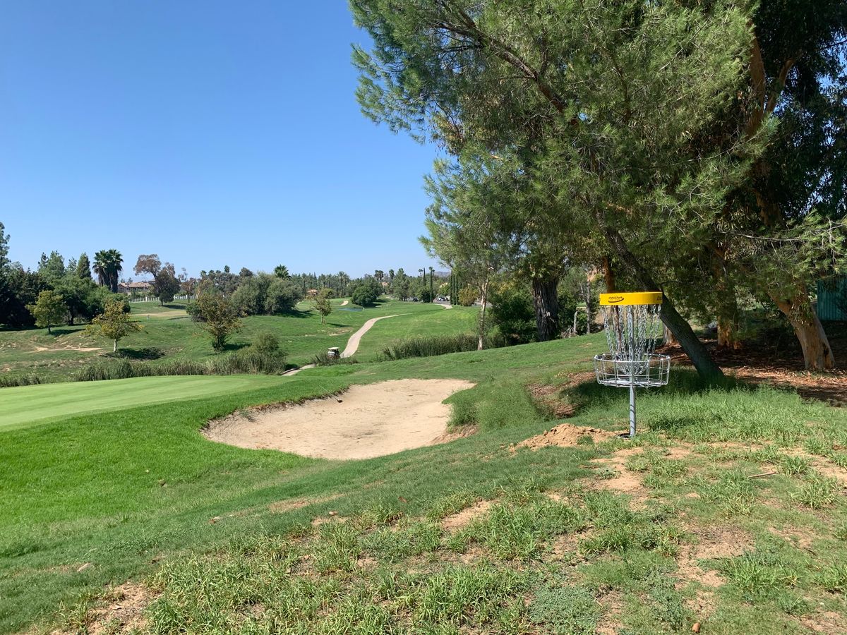 Omega Hole 2 Basket