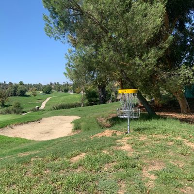 Omega Hole 2 Basket