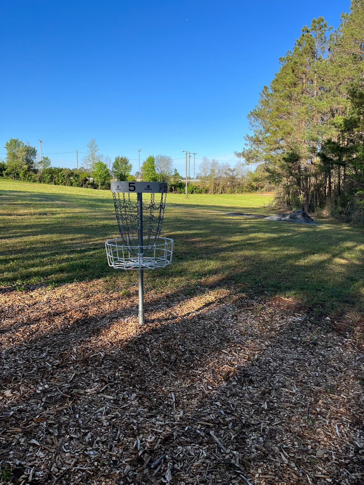 Hole 5 basket