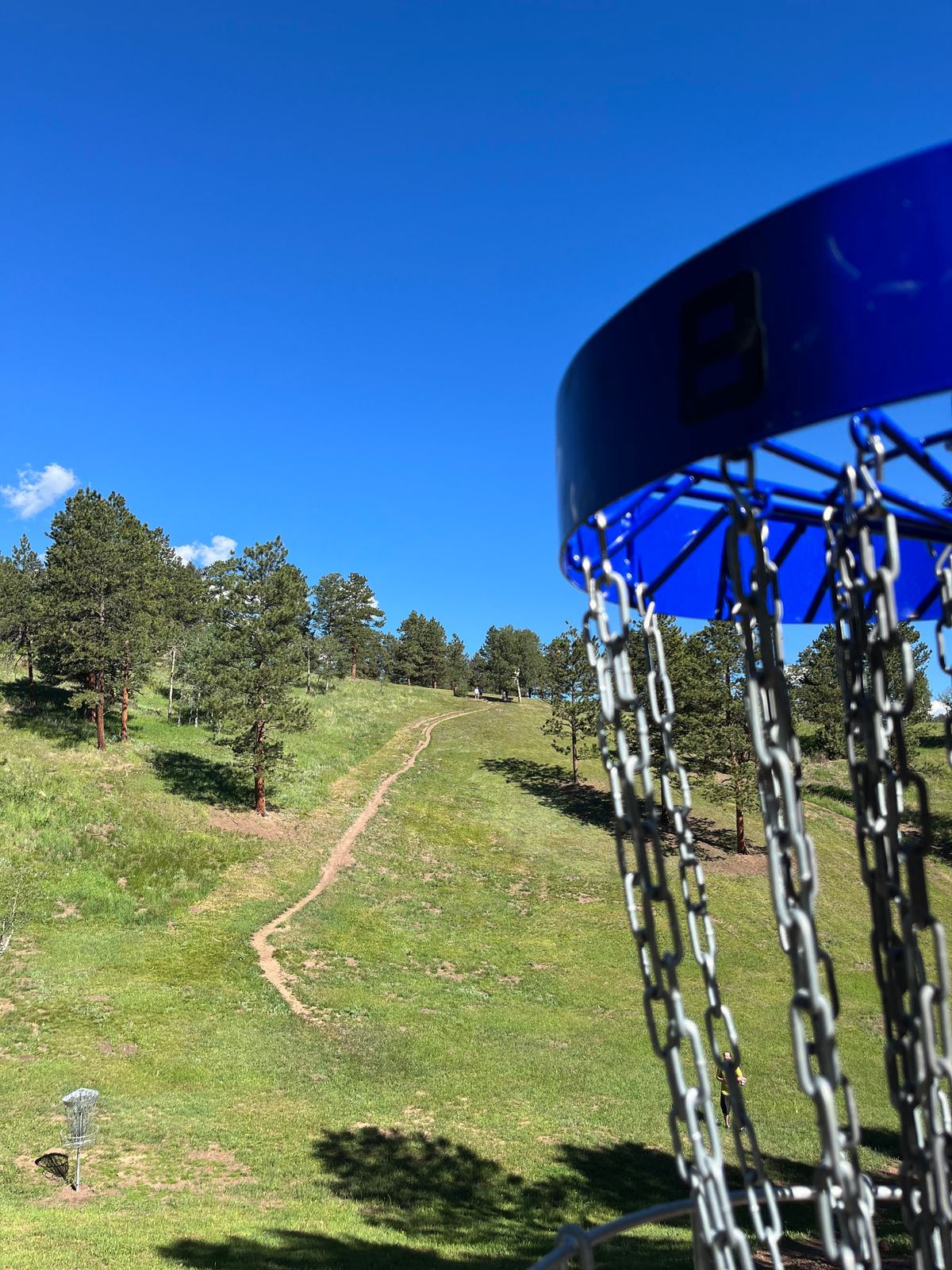 Hole 8 looking back up the hill at the tee pad!