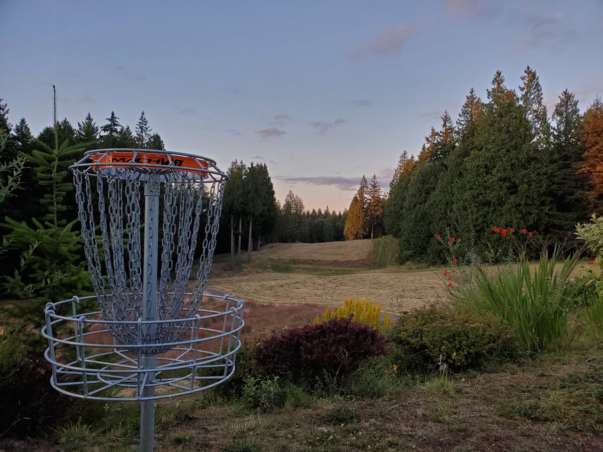 Pitch and putt basket