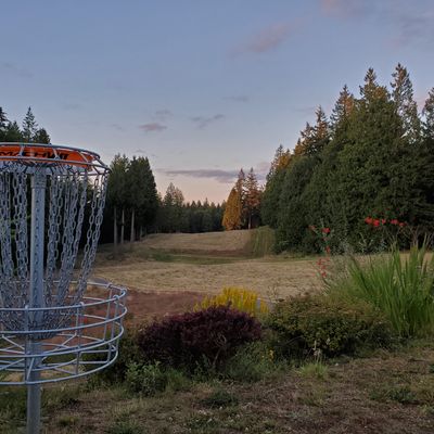 Pitch and putt basket