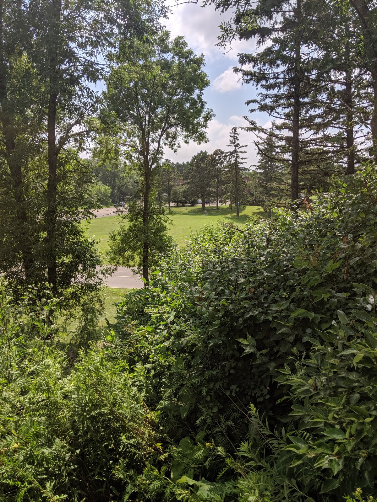 Hole 18 - Before trees were removed
