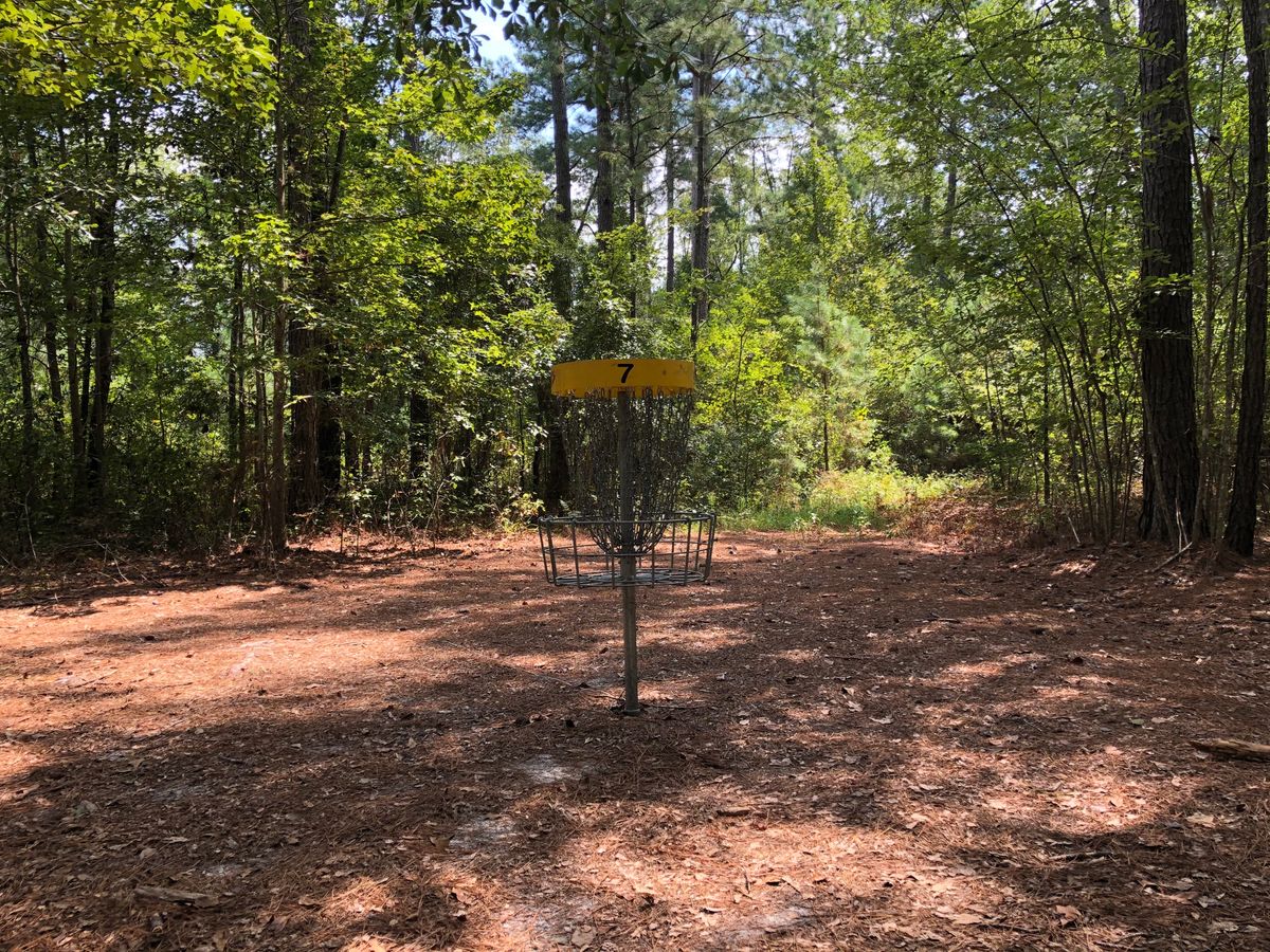 Hole 7