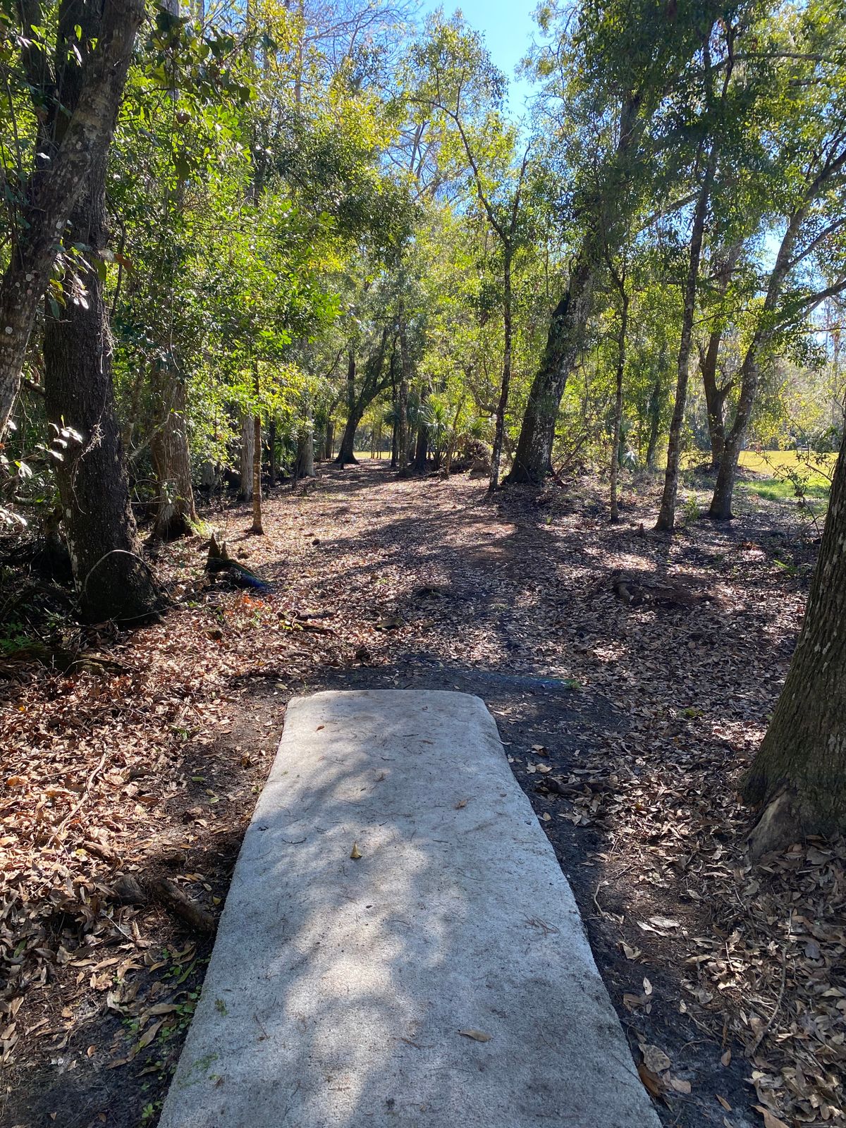 Hole 6 gold tee.