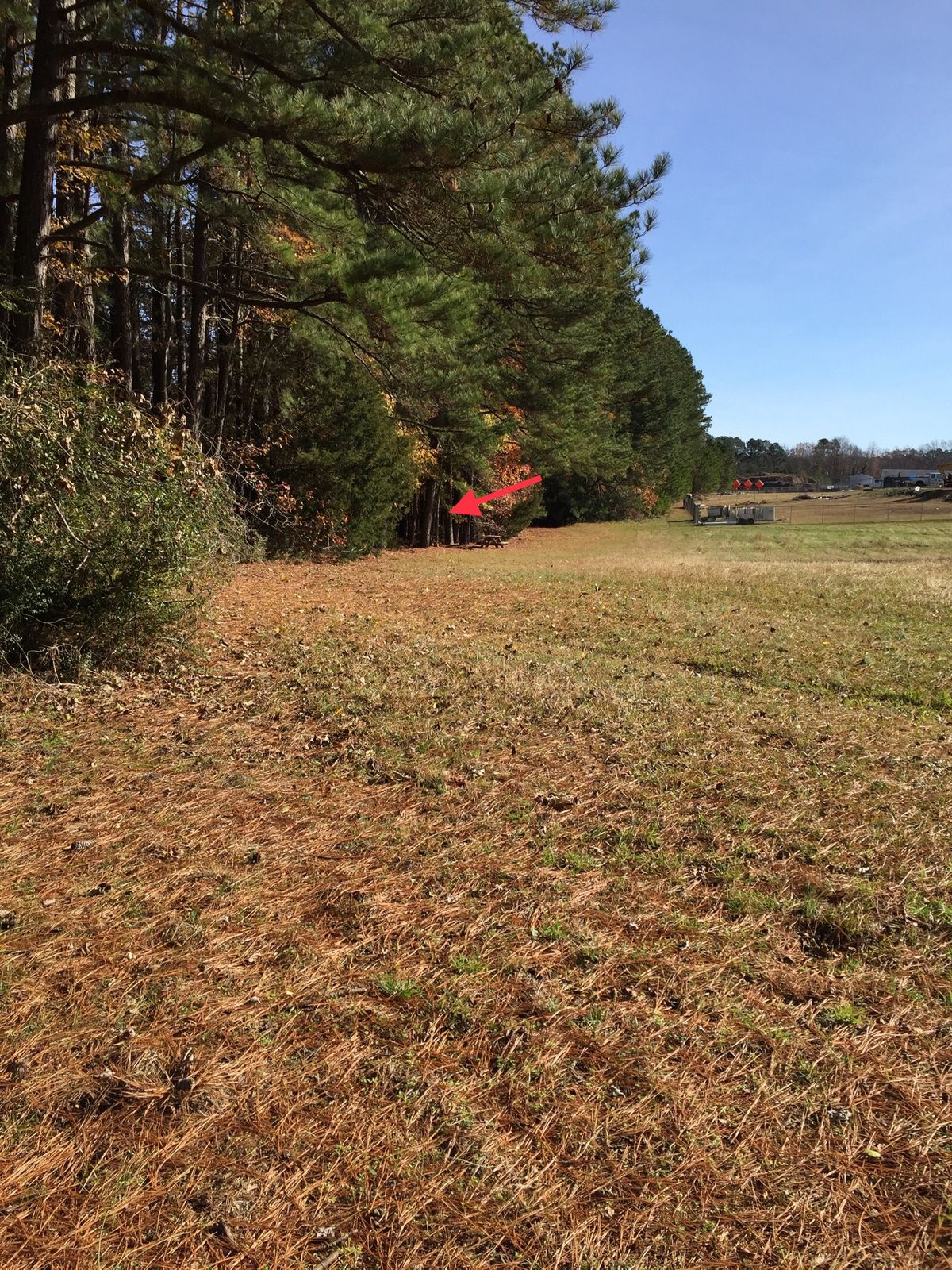 Hole #16 Approach