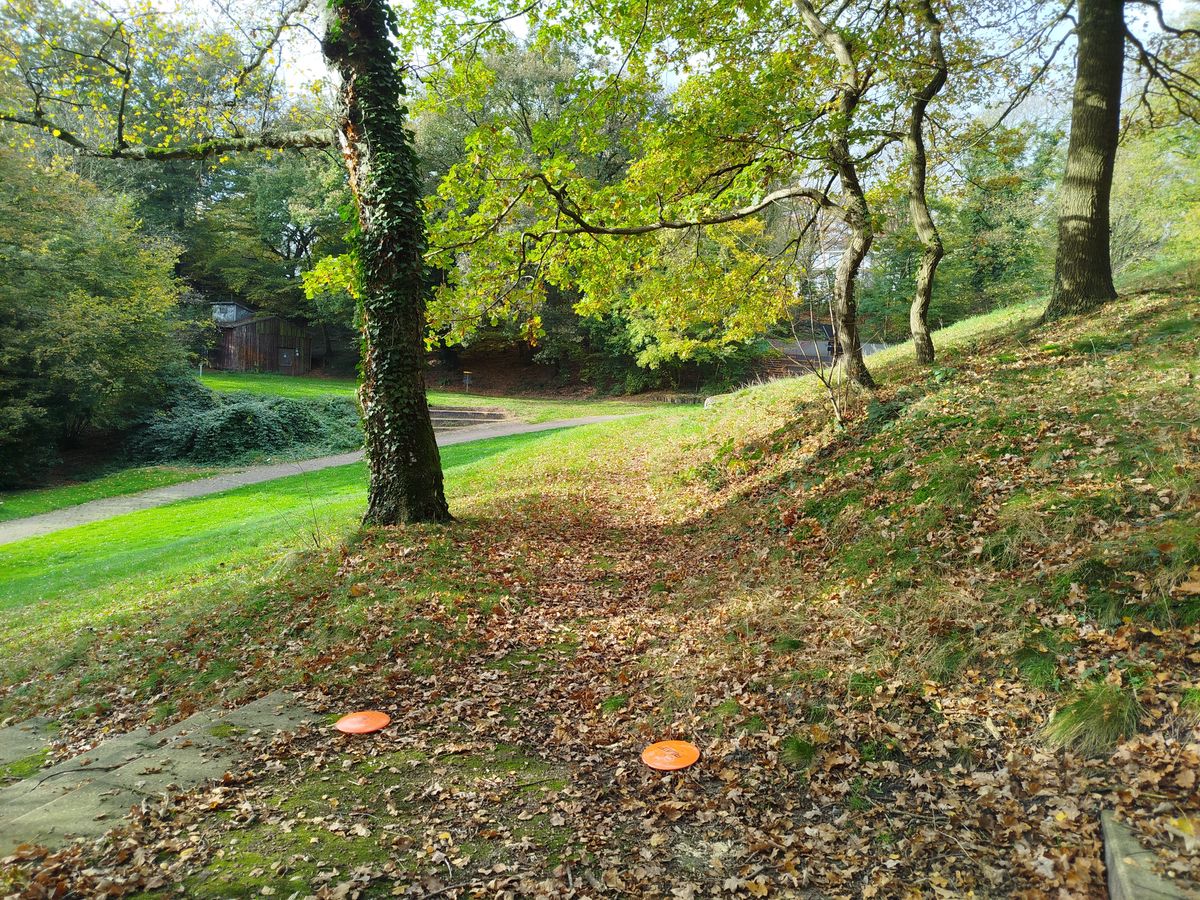 Tee Main + Six Hole 8 behind birch