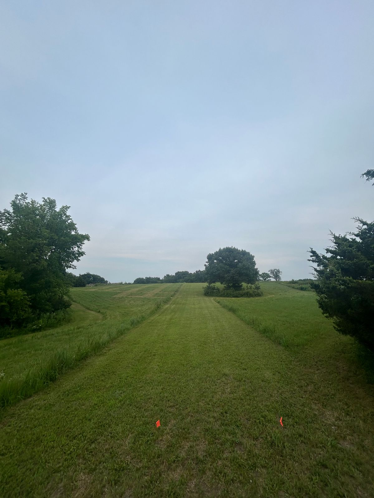 Hole 6 with the squares mowed on the left. This is for the “half hazard” rule
