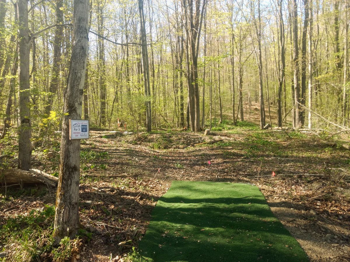 Hole 10